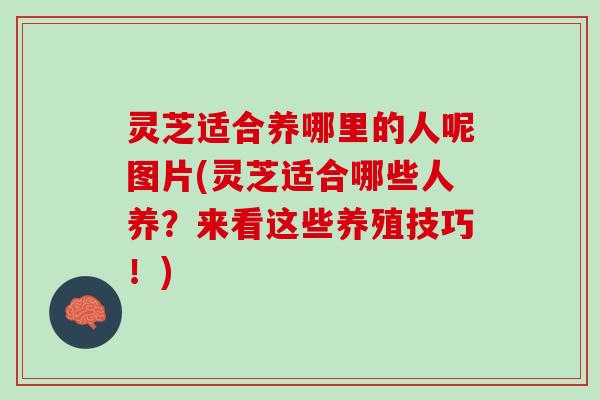 灵芝适合养哪里的人呢图片(灵芝适合哪些人养？来看这些养殖技巧！)