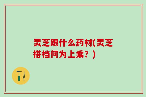 灵芝跟什么药材(灵芝搭档何为上乘？)