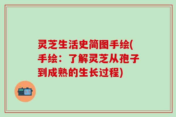 灵芝生活史简图手绘(手绘：了解灵芝从孢子到成熟的生长过程)