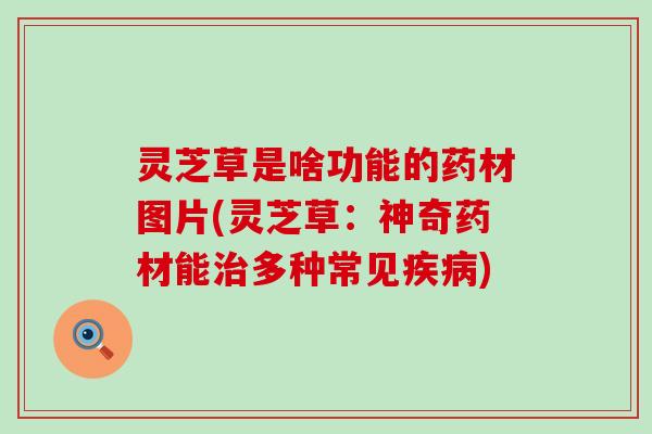 灵芝草是啥功能的药材图片(灵芝草：神奇药材能治多种常见疾病)