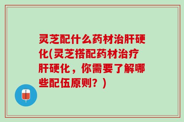 灵芝配什么药材治肝硬化(灵芝搭配药材治疗肝硬化，你需要了解哪些配伍原则？)