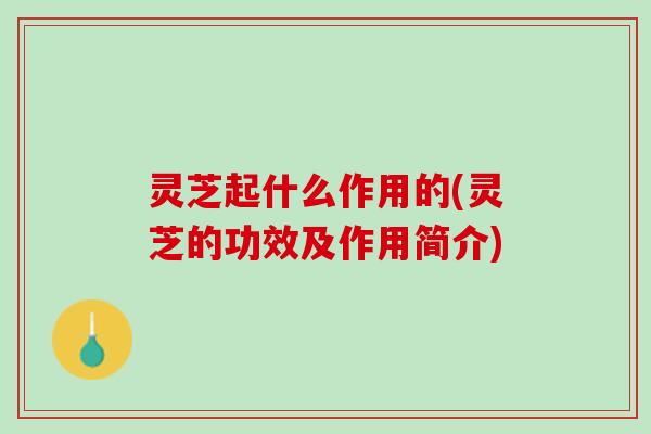 灵芝起什么作用的(灵芝的功效及作用简介)