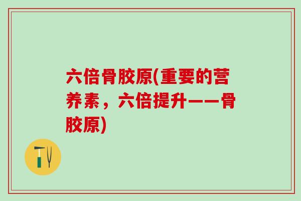六倍骨胶原(重要的营养素，六倍提升——骨胶原)