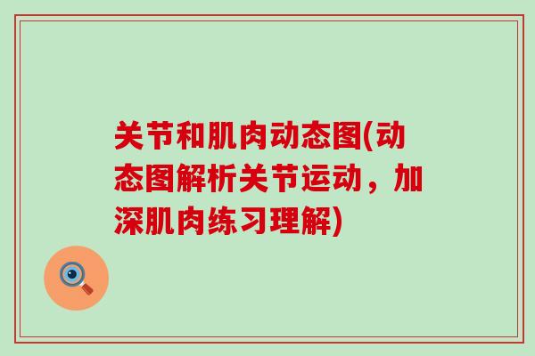 关节和肌肉动态图(动态图解析关节运动，加深肌肉练习理解)