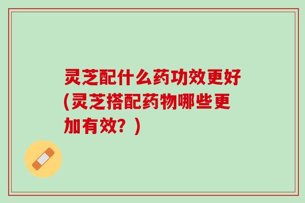 灵芝配什么药功效更好(灵芝搭配药物哪些更加有效？)