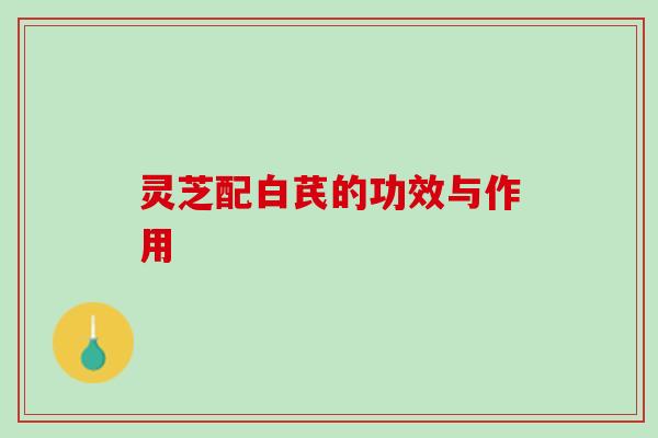灵芝配白芪的功效与作用