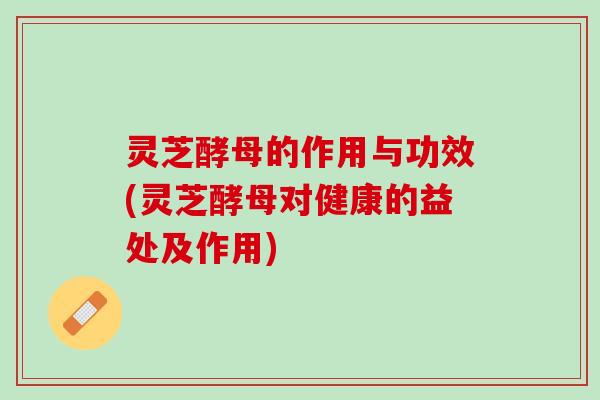 灵芝酵母的作用与功效(灵芝酵母对健康的益处及作用)
