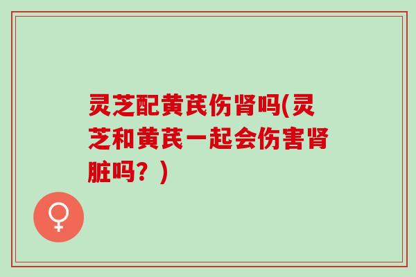 灵芝配黄芪伤肾吗(灵芝和黄芪一起会伤害肾脏吗？)