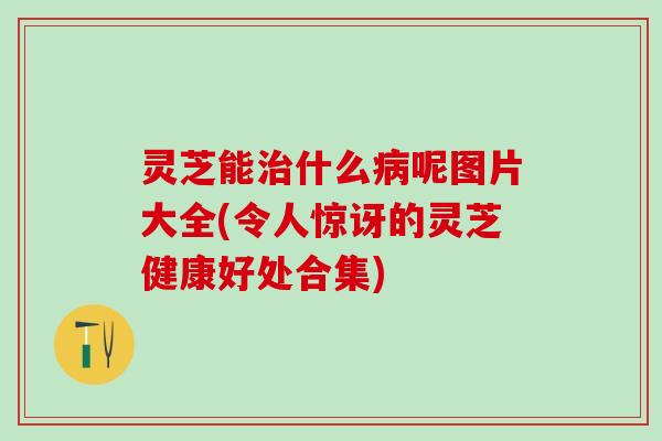 灵芝能治什么病呢图片大全(令人惊讶的灵芝健康好处合集)