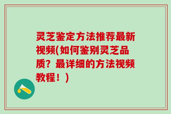 灵芝鉴定方法推荐最新视频(如何鉴别灵芝品质？最详细的方法视频教程！)