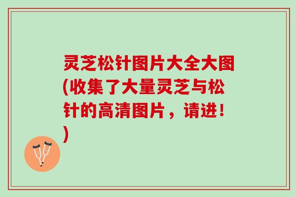 灵芝松针图片大全大图(收集了大量灵芝与松针的高清图片，请进！)