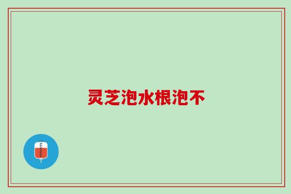 灵芝泡水根泡不