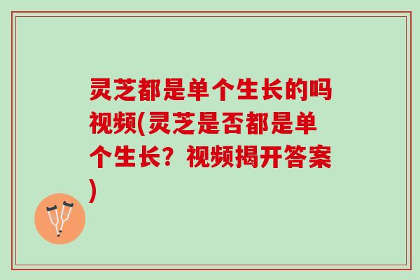 灵芝都是单个生长的吗视频(灵芝是否都是单个生长？视频揭开答案)