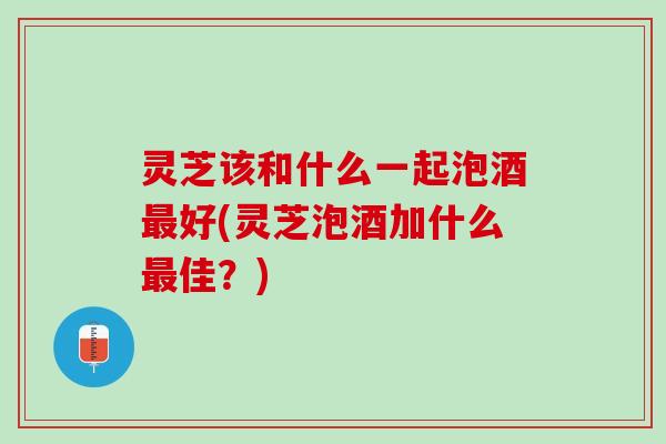 灵芝该和什么一起泡酒最好(灵芝泡酒加什么最佳？)