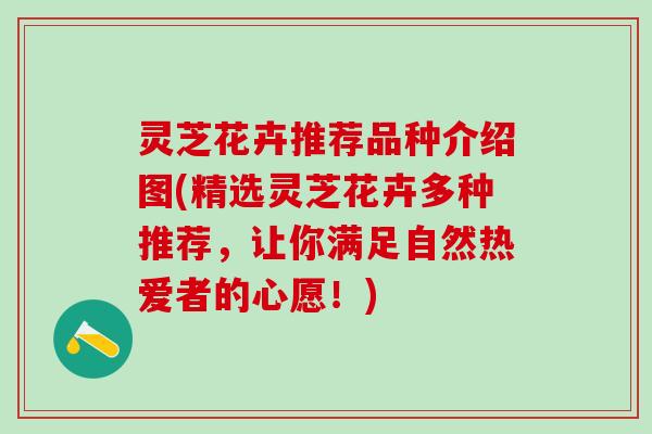灵芝花卉推荐品种介绍图(精选灵芝花卉多种推荐，让你满足自然热爱者的心愿！)