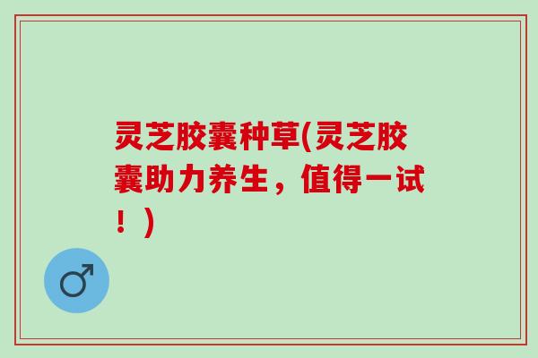 灵芝胶囊种草(灵芝胶囊助力养生，值得一试！)