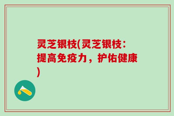 灵芝银枝(灵芝银枝：提高免疫力，护佑健康)