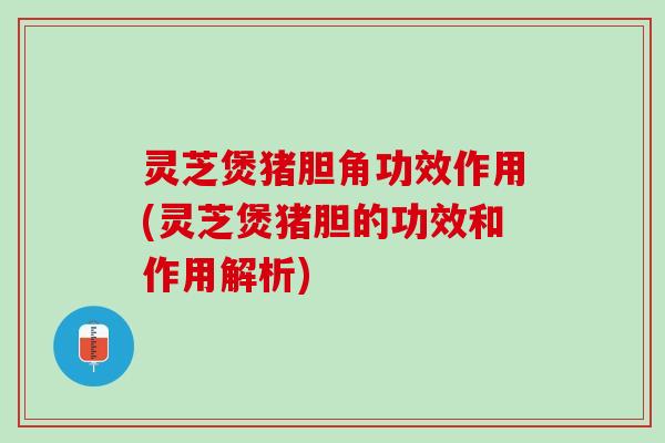 灵芝煲猪胆角功效作用(灵芝煲猪胆的功效和作用解析)