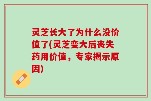 灵芝长大了为什么没价值了(灵芝变大后丧失药用价值，专家揭示原因)