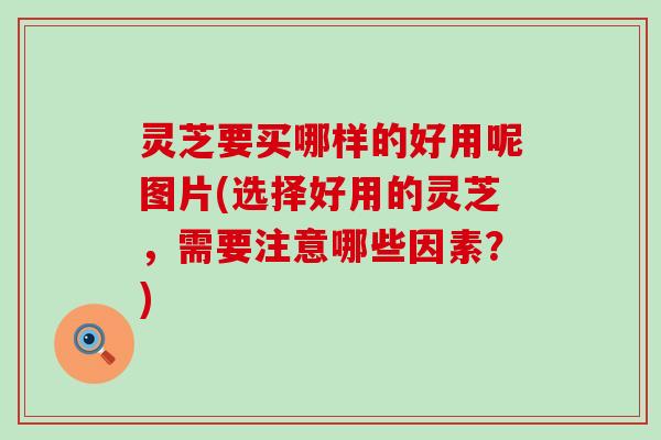 灵芝要买哪样的好用呢图片(选择好用的灵芝，需要注意哪些因素？)