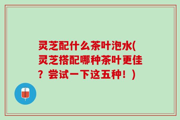 灵芝配什么茶叶泡水(灵芝搭配哪种茶叶更佳？尝试一下这五种！)