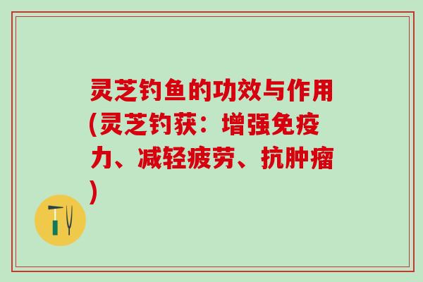 灵芝钓鱼的功效与作用(灵芝钓获：增强免疫力、减轻疲劳、抗肿瘤)