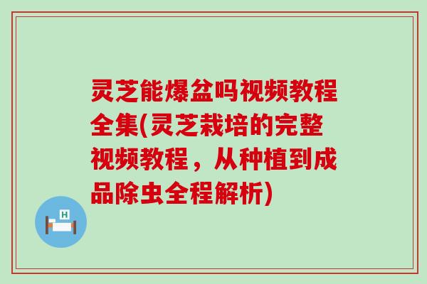 灵芝能爆盆吗视频教程全集(灵芝栽培的完整视频教程，从种植到成品除虫全程解析)