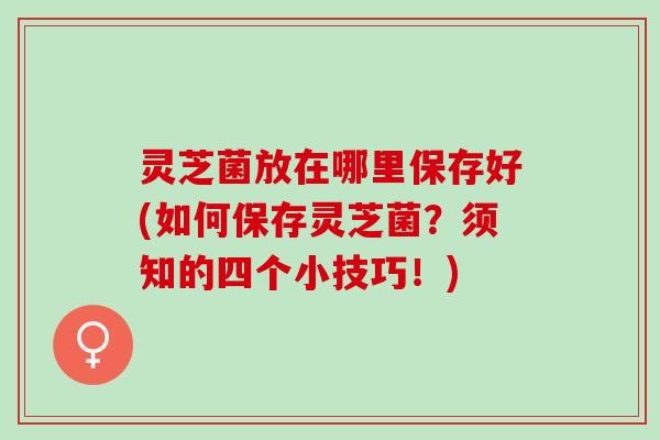 灵芝菌放在哪里保存好(如何保存灵芝菌？须知的四个小技巧！)