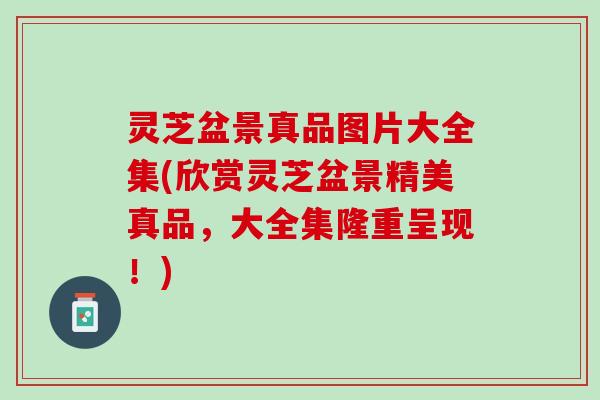 灵芝盆景真品图片大全集(欣赏灵芝盆景精美真品，大全集隆重呈现！)