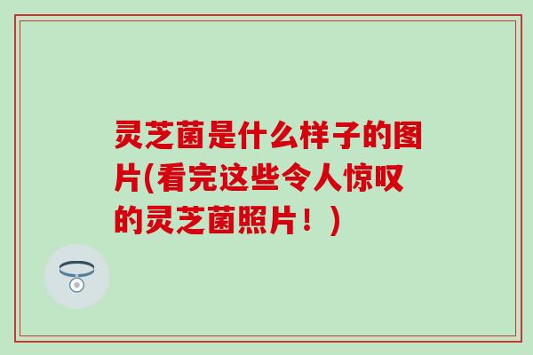 灵芝菌是什么样子的图片(看完这些令人惊叹的灵芝菌照片！)