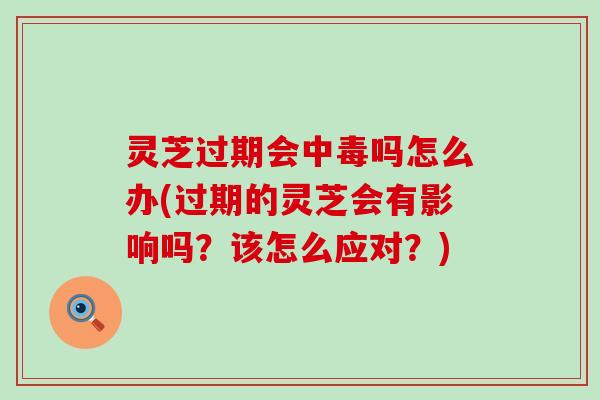 灵芝过期会中毒吗怎么办(过期的灵芝会有影响吗？该怎么应对？)