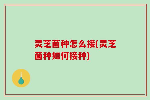 灵芝菌种怎么接(灵芝菌种如何接种)