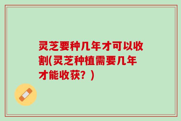 灵芝要种几年才可以收割(灵芝种植需要几年才能收获？)