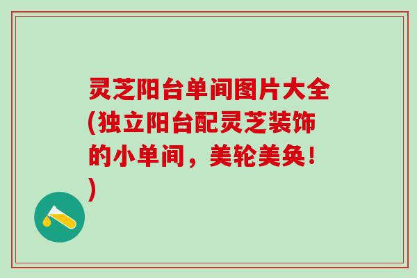 灵芝阳台单间图片大全(独立阳台配灵芝装饰的小单间，美轮美奂！)