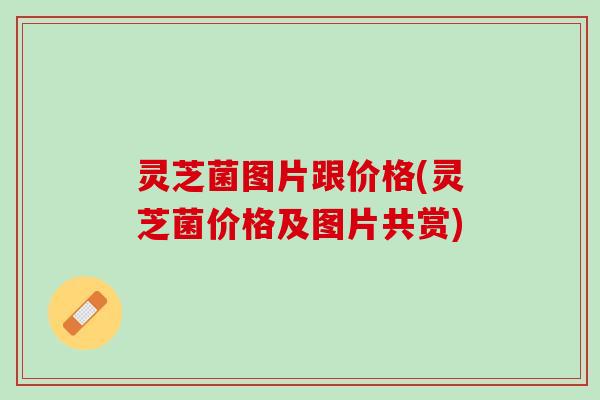 灵芝菌图片跟价格(灵芝菌价格及图片共赏)