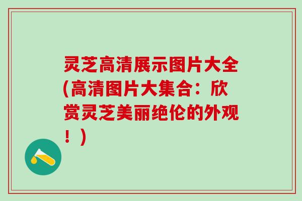 灵芝高清展示图片大全(高清图片大集合：欣赏灵芝美丽绝伦的外观！)