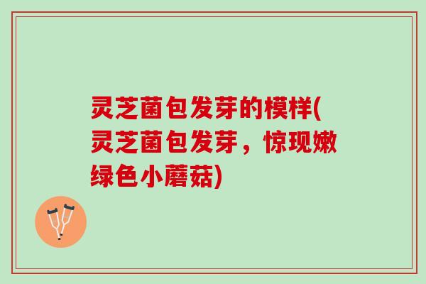 灵芝菌包发芽的模样(灵芝菌包发芽，惊现嫩绿色小蘑菇)