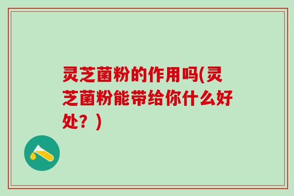 灵芝菌粉的作用吗(灵芝菌粉能带给你什么好处？)