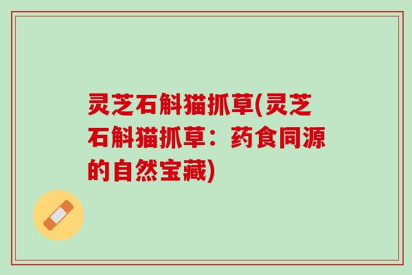 灵芝石斛猫抓草(灵芝石斛猫抓草：药食同源的自然宝藏)