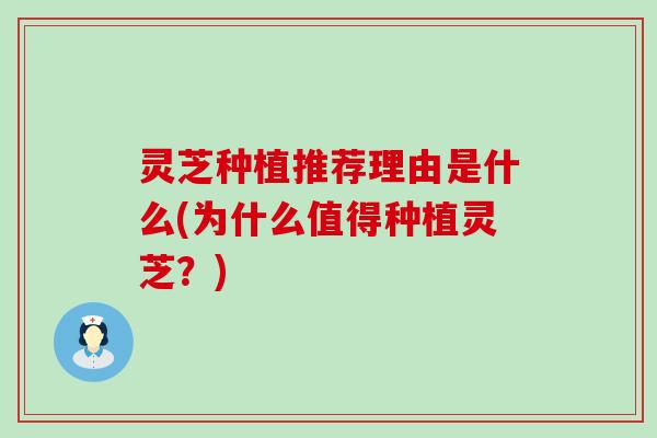 灵芝种植推荐理由是什么(为什么值得种植灵芝？)
