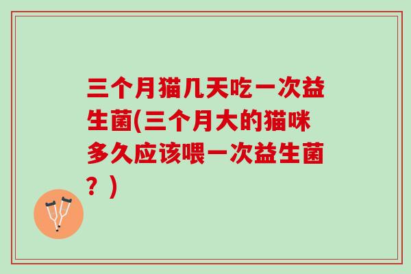三个月猫几天吃一次益生菌(三个月大的猫咪多久应该喂一次益生菌？)