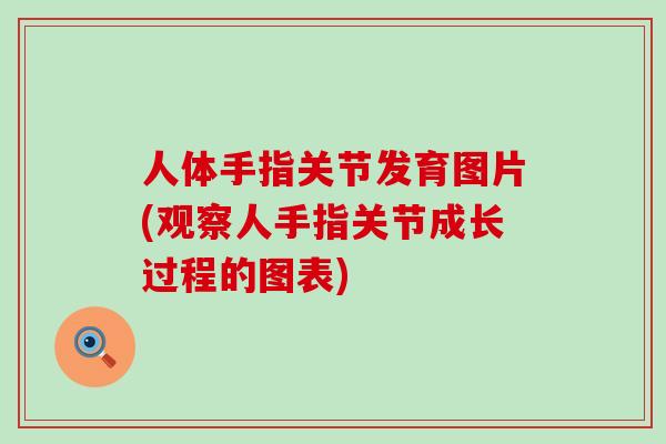 人体手指关节发育图片(观察人手指关节成长过程的图表)