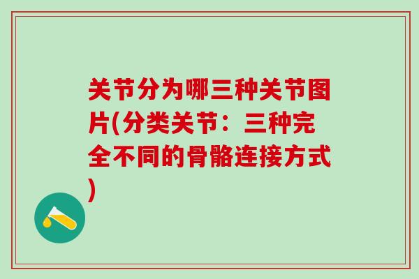 关节分为哪三种关节图片(分类关节：三种完全不同的骨骼连接方式)
