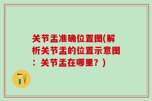 关节盂准确位置图(解析关节盂的位置示意图:关节盂在哪里?) 关节盂准确位置图(解析关节盂的位置示意图:关节盂在哪里?)
