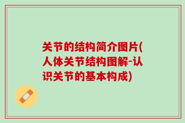 关节的结构简介图片(人体关节结构图解-认识关节的基本构成)