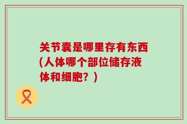 关节囊是哪里存有东西(人体哪个部位储存液体和细胞？)