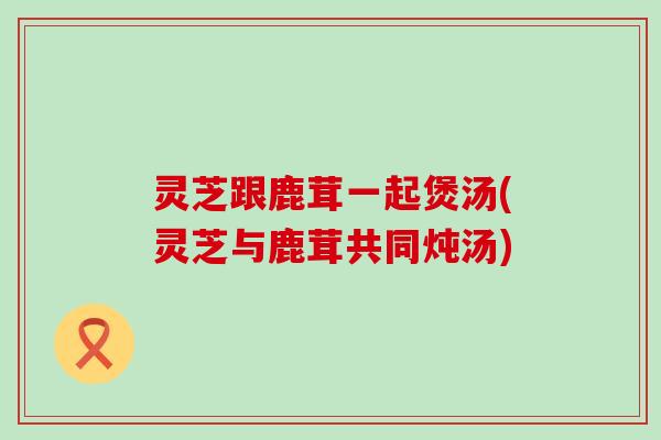 灵芝跟鹿茸一起煲汤(灵芝与鹿茸共同炖汤)