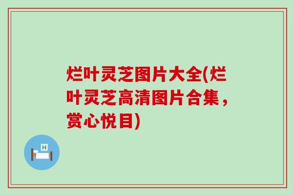 烂叶灵芝图片大全(烂叶灵芝高清图片合集，赏心悦目)
