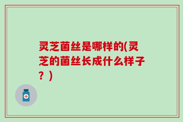 灵芝菌丝是哪样的(灵芝的菌丝长成什么样子？)