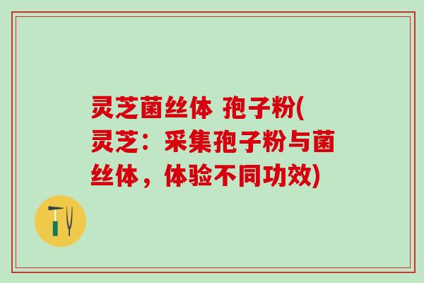 灵芝菌丝体 孢子粉(灵芝：采集孢子粉与菌丝体，体验不同功效)